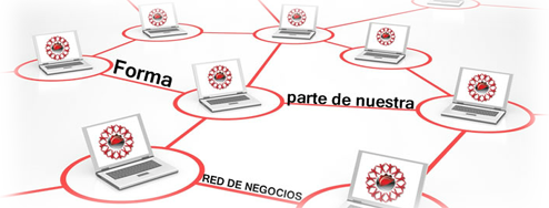 Red de Negocios AMIQRO